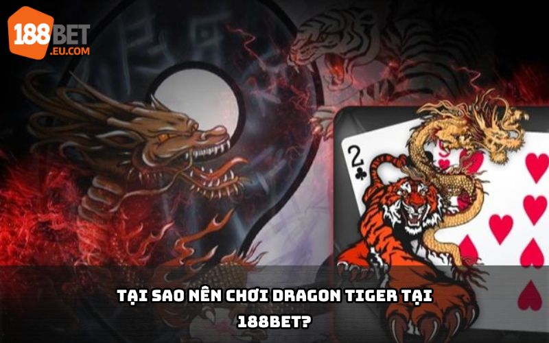 Hình ảnh giao diện Dragon Tiger trên 188Bet