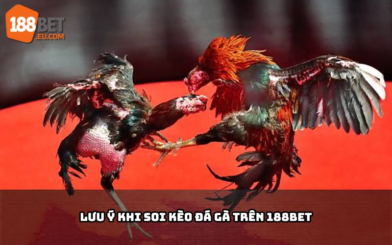 Lưu ý khi cá cược đá gà 188BET